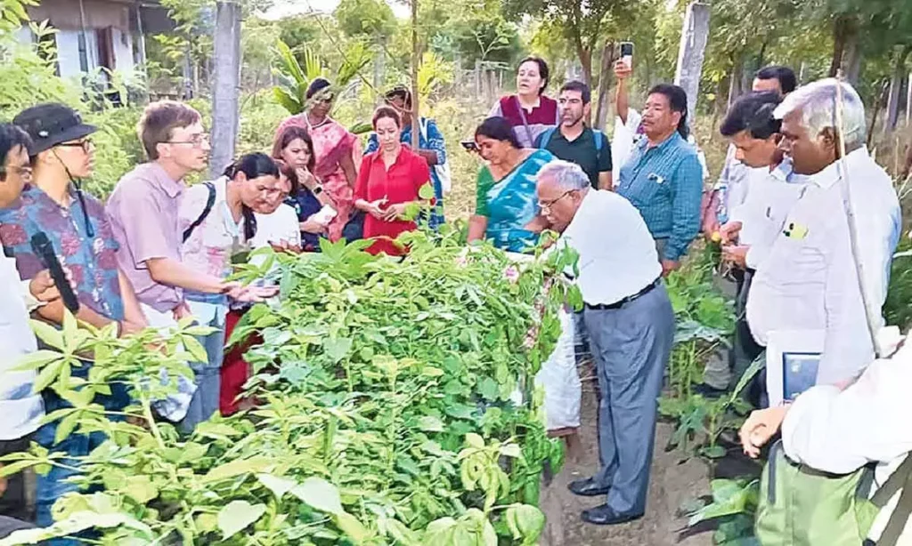 Natural Farming Expansion in Tirupati 1480525 apncf