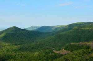 Gallery seshachalam hills freepik 1024x675
