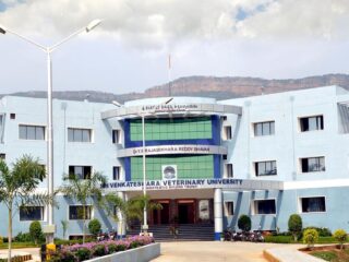 sri venkateswara university