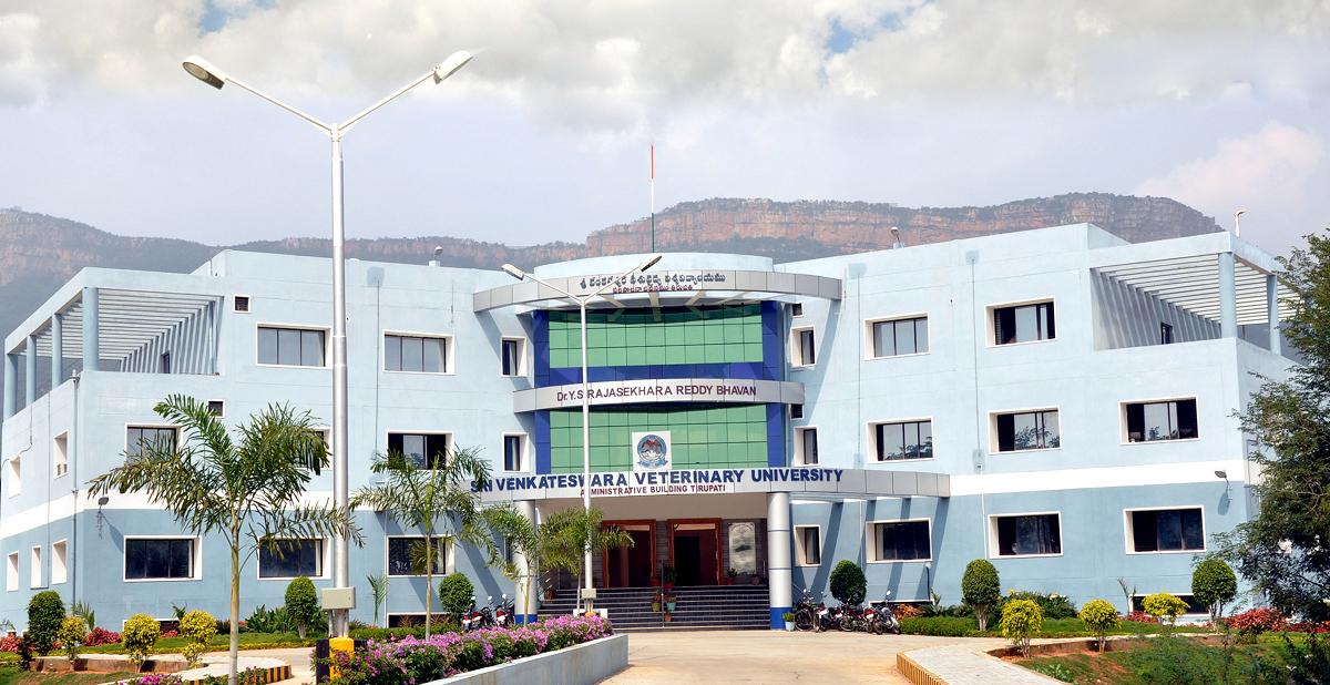 Sri Venkateswara University (SVU)