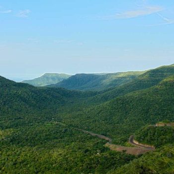 Gallery seshachalam hills freepik 1024x675